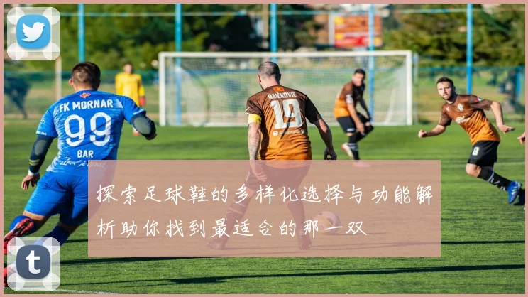探索足球鞋的多样化选择与功能解析助你找到最适合的那一双