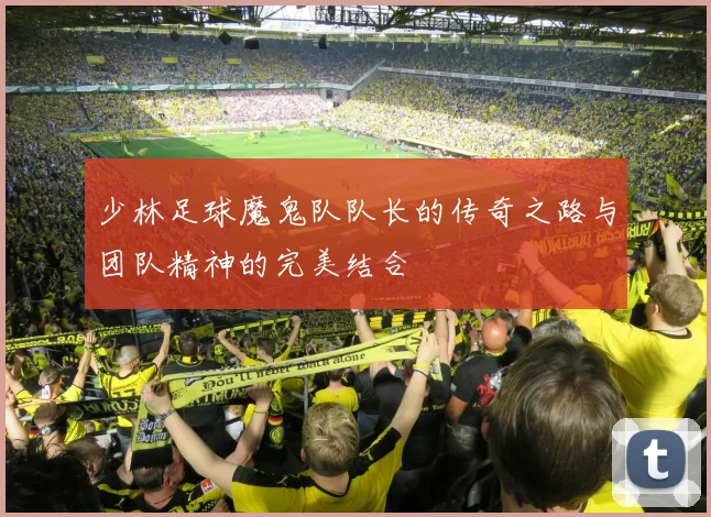 少林足球魔鬼队队长的传奇之路与团队精神的完美结合