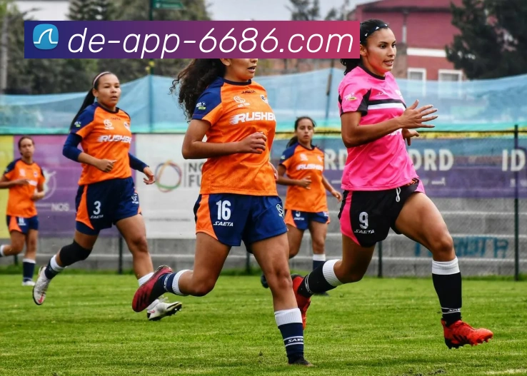 体育娱乐平台生态图