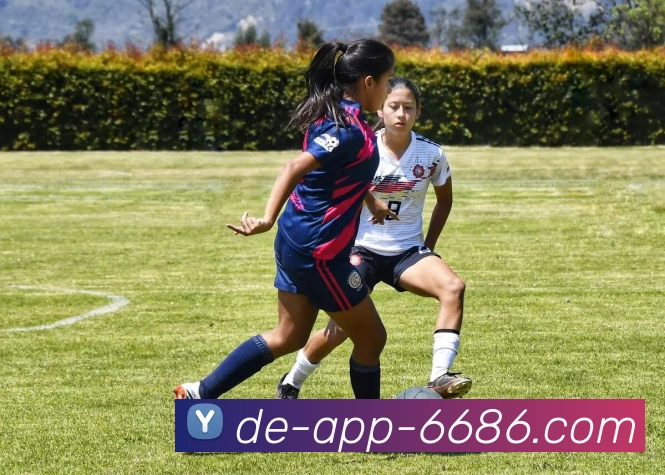 数据防护可视化